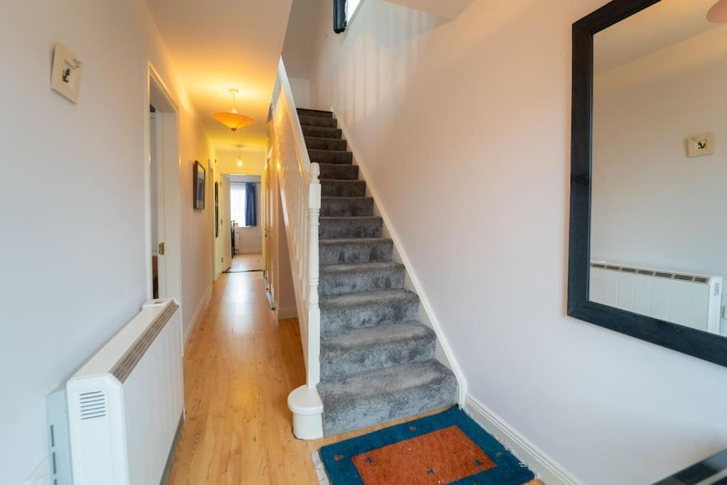 The Haven Dingle, Self Catering Accommodation Exterior foto